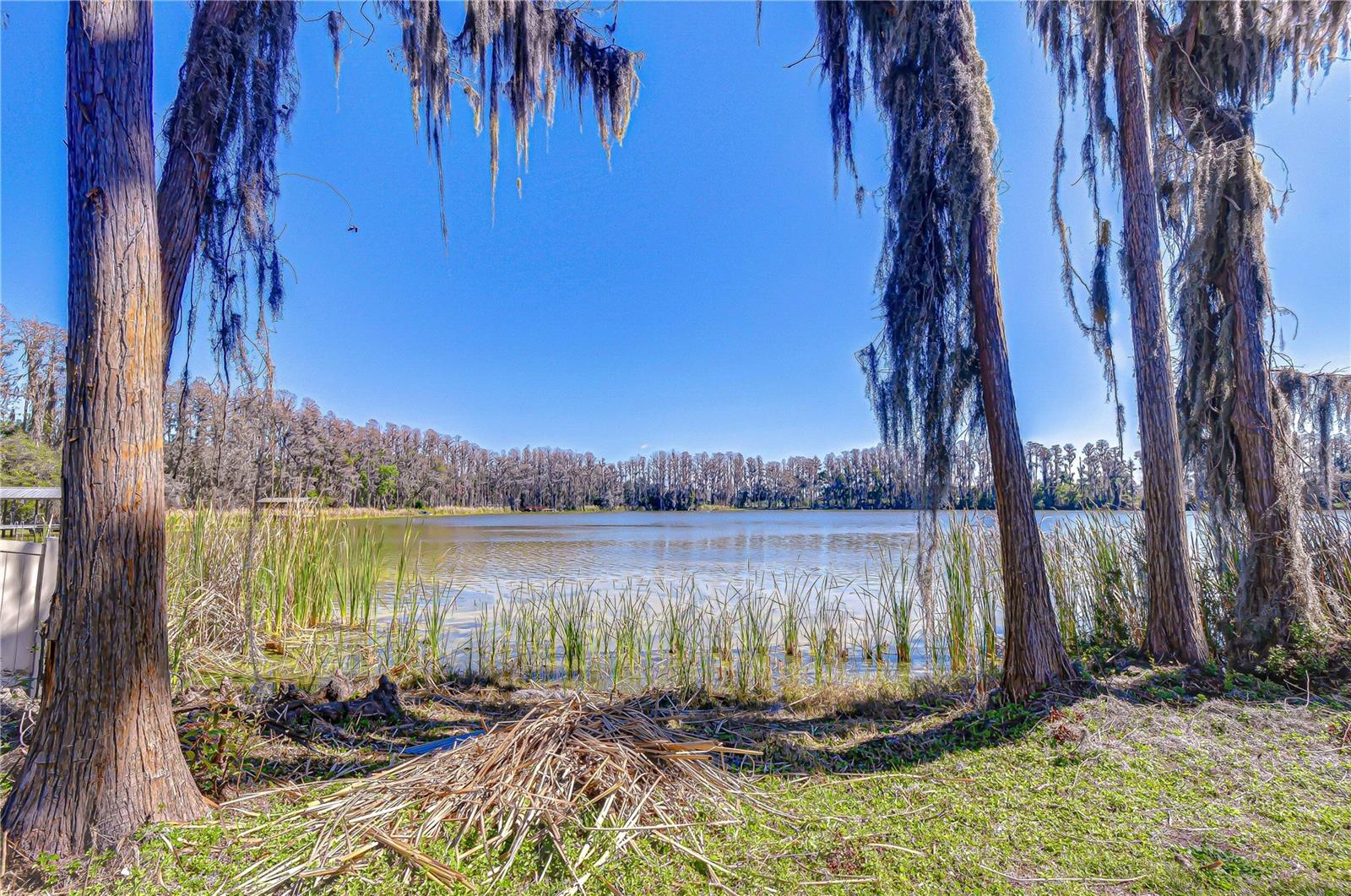 6608 Wisteria Loop