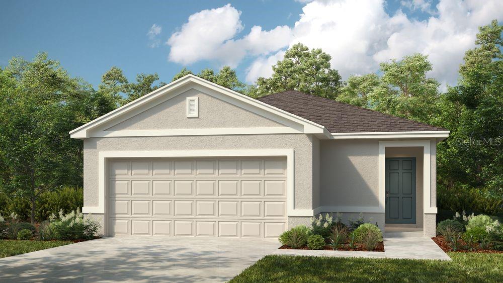 12449 Whisk CT
