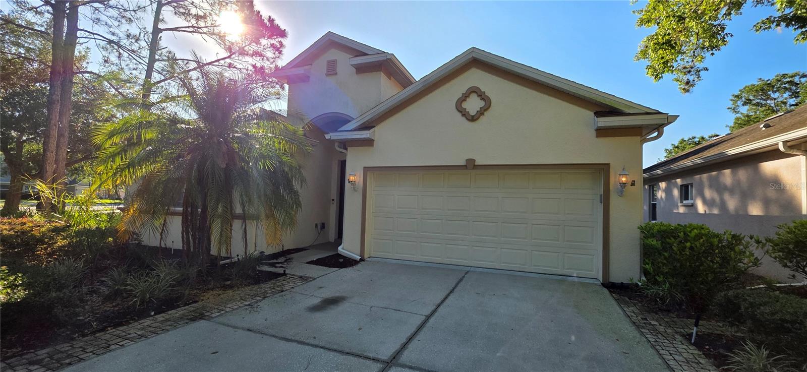 10906 Tree Cactus Loop